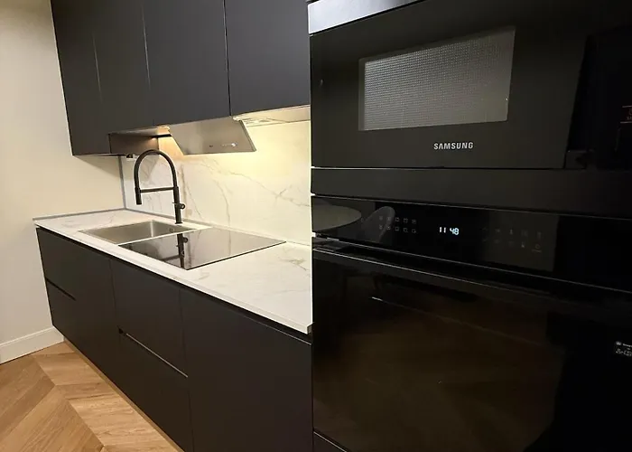 Apartment Luxury Design 1br 1ba High Ceilings